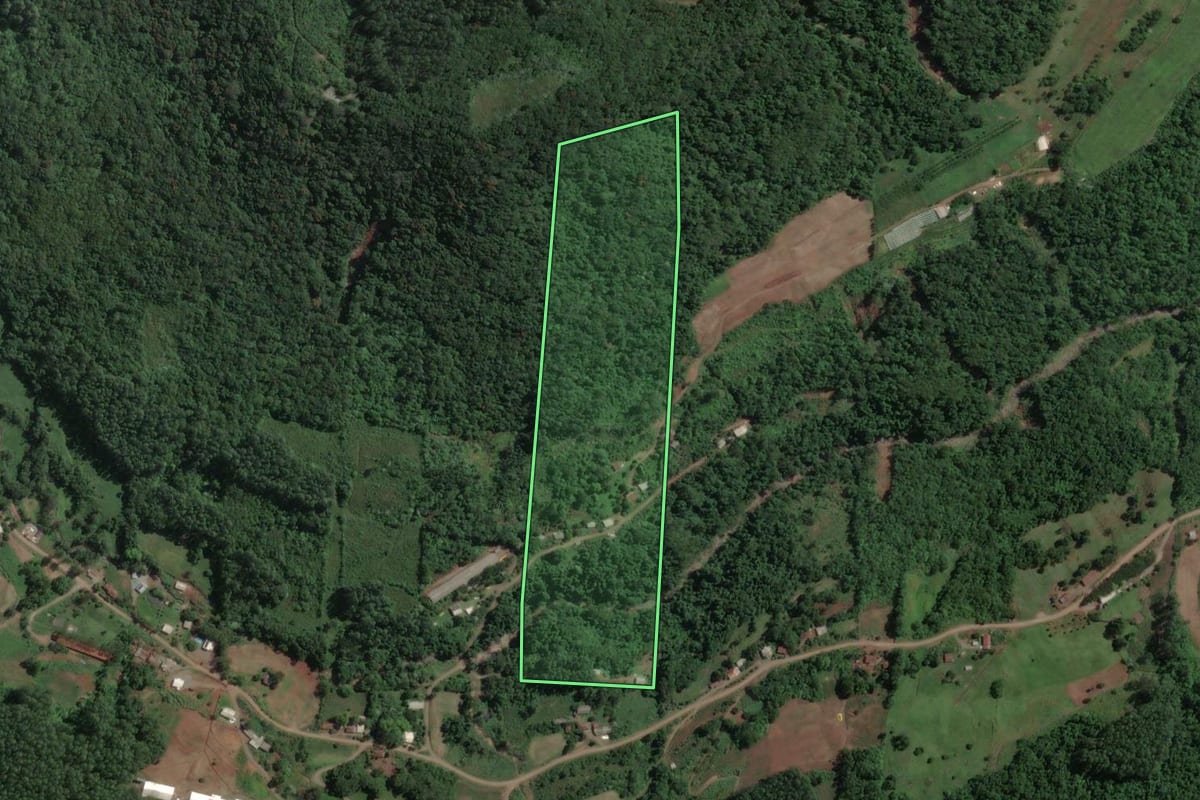 Imagem de satélite do imóvel rural em Capitão (RS), com o contorno declarado no CAR desenhado por cima.