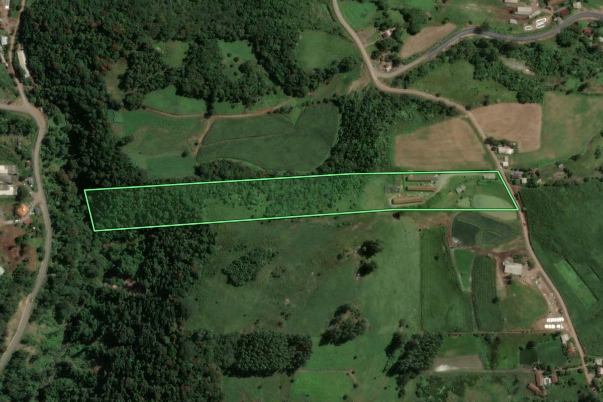 Imagem de satélite do imóvel rural em Capitão (RS), com o contorno declarado no CAR desenhado por cima.