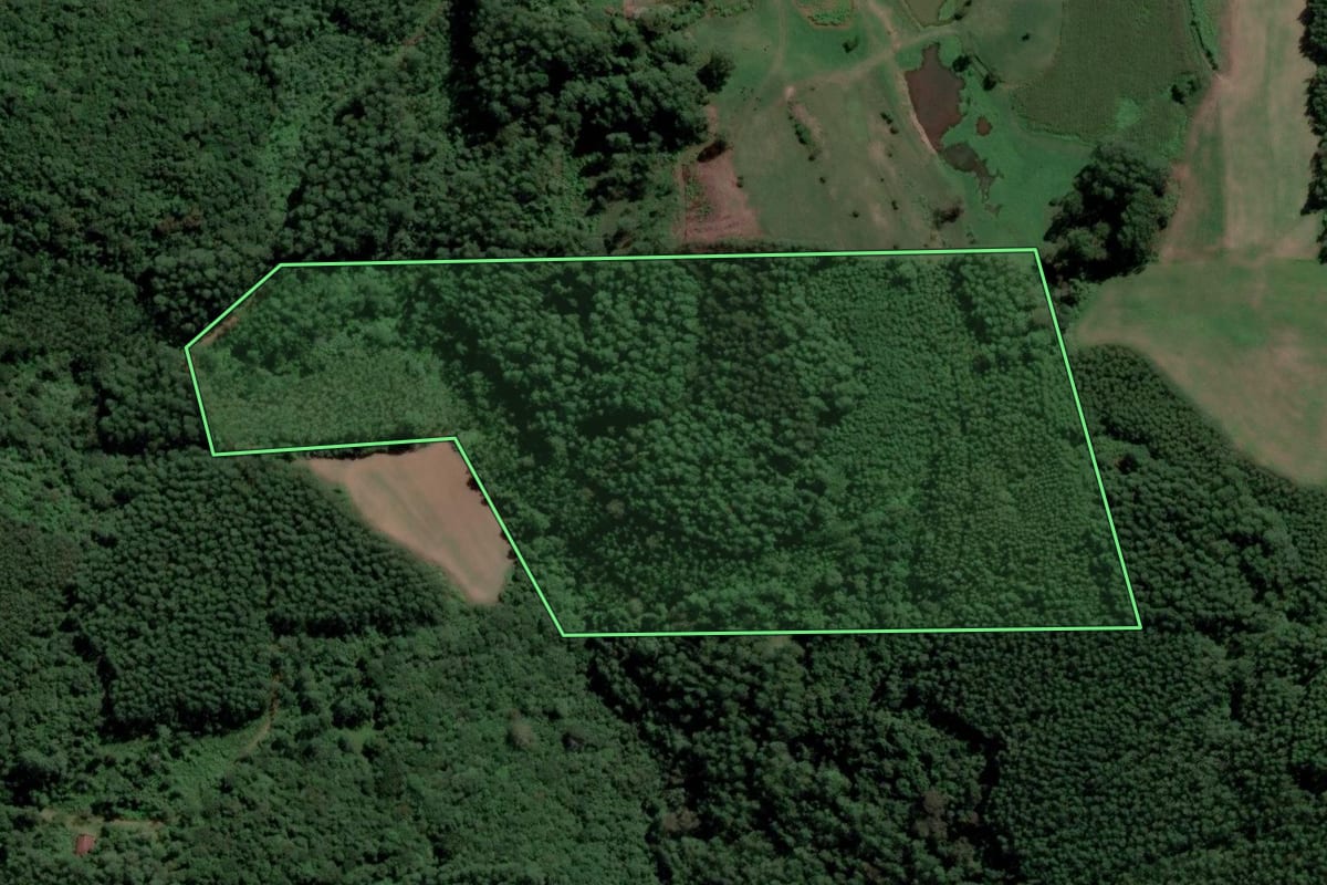 Imagem de satélite do imóvel rural em Capitão (RS), com o contorno declarado no CAR desenhado por cima.