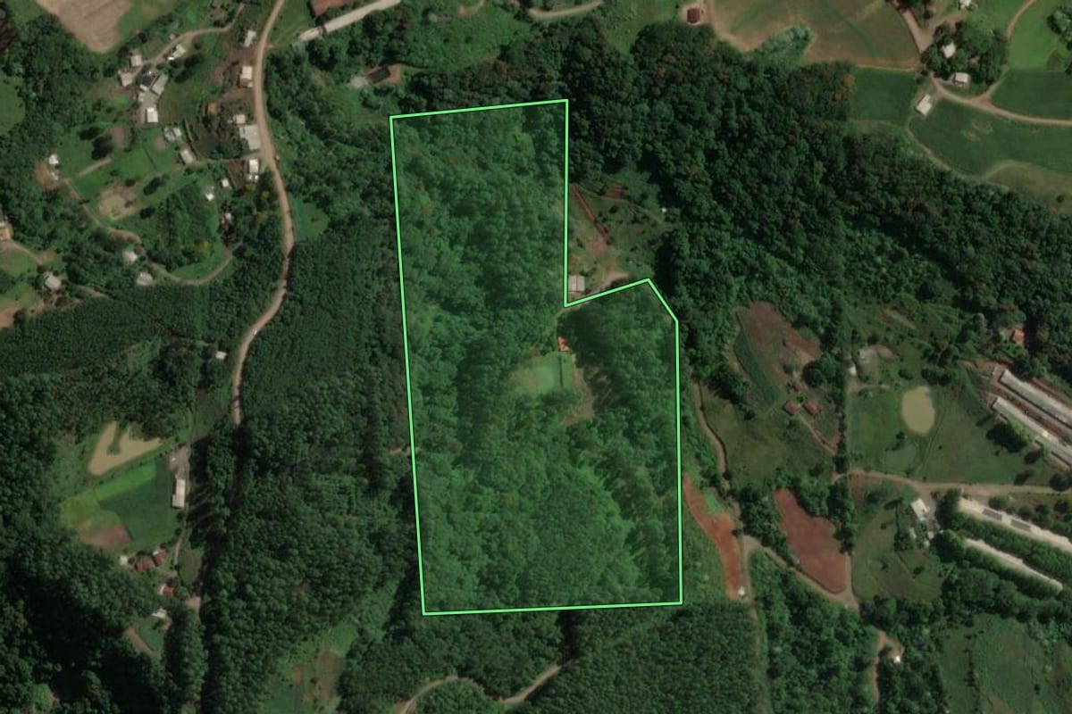 Imagem de satélite do imóvel rural em Capitão (RS), com o contorno declarado no CAR desenhado por cima.