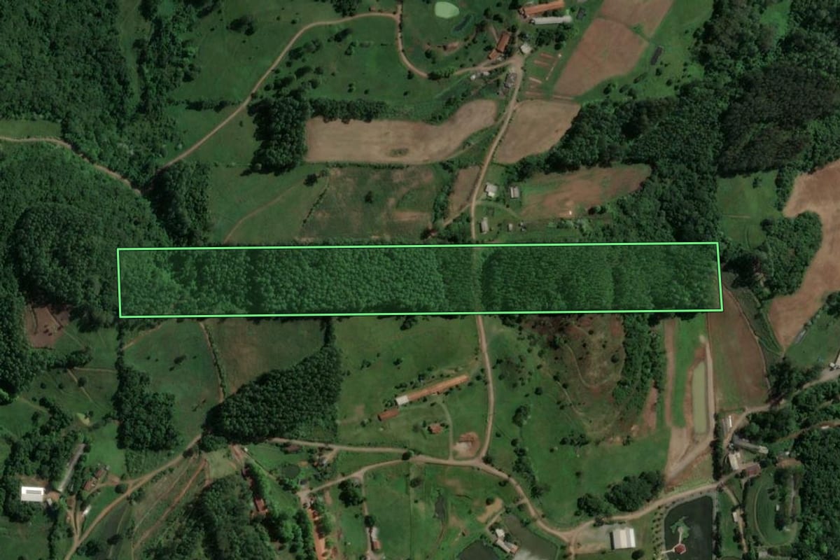 Imagem de satélite do imóvel rural em Capitão (RS), com o contorno declarado no CAR desenhado por cima.