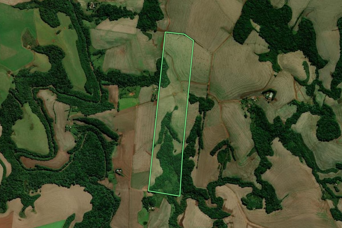 Imagem de satélite do imóvel rural em Carazinho (RS), com o contorno declarado no CAR desenhado por cima.