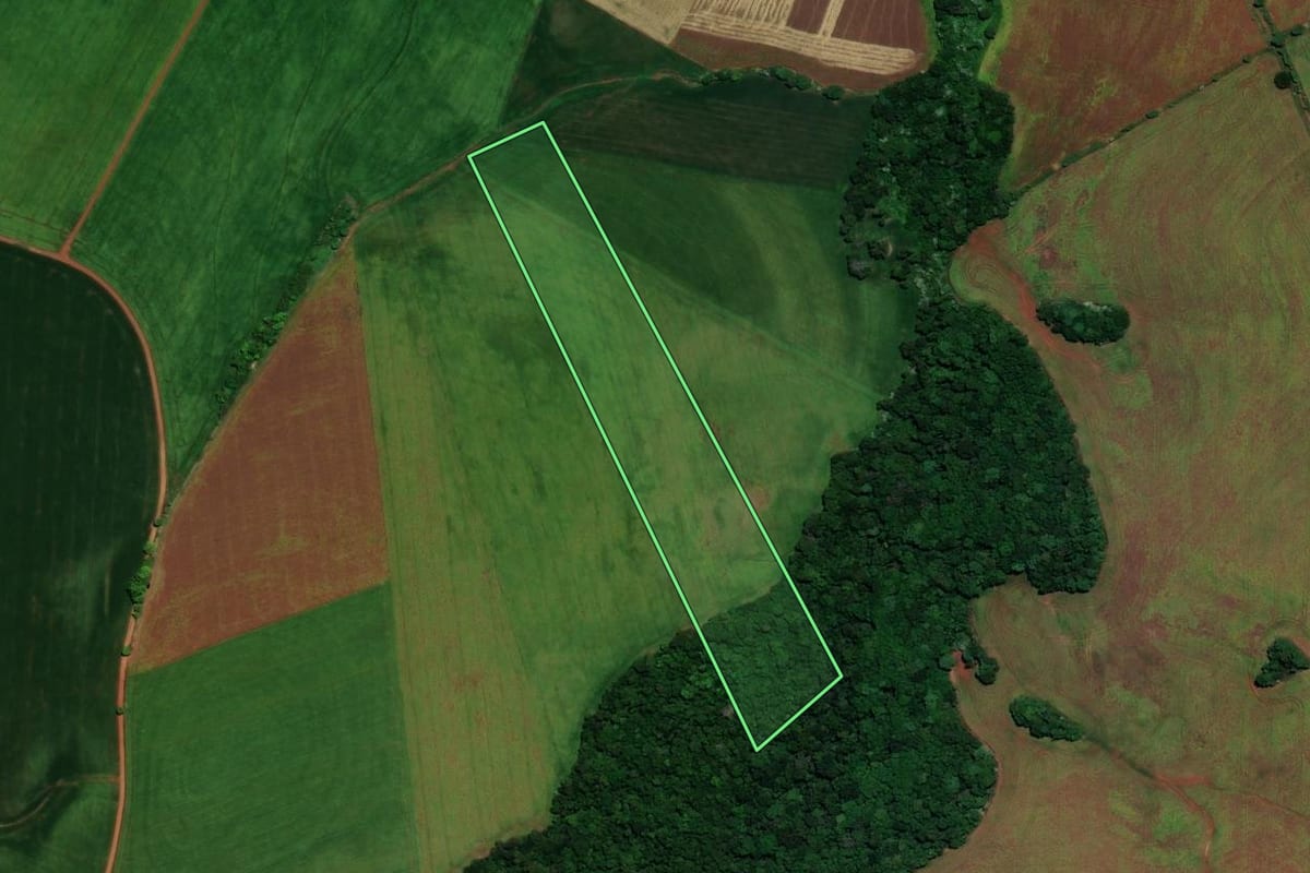 Imagem de satélite do imóvel rural em Carazinho (RS), com o contorno declarado no CAR desenhado por cima.