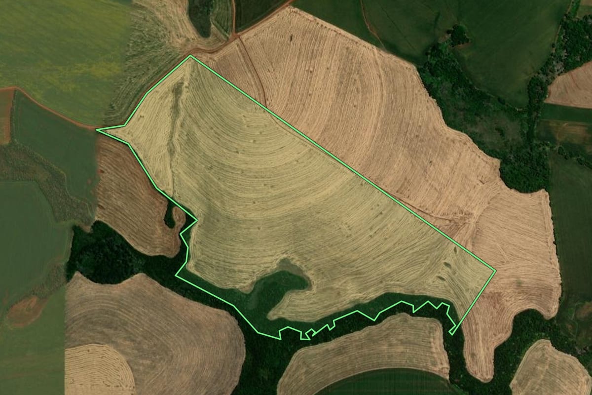 Imagem de satélite do imóvel rural em Carazinho (RS), com o contorno declarado no CAR desenhado por cima.