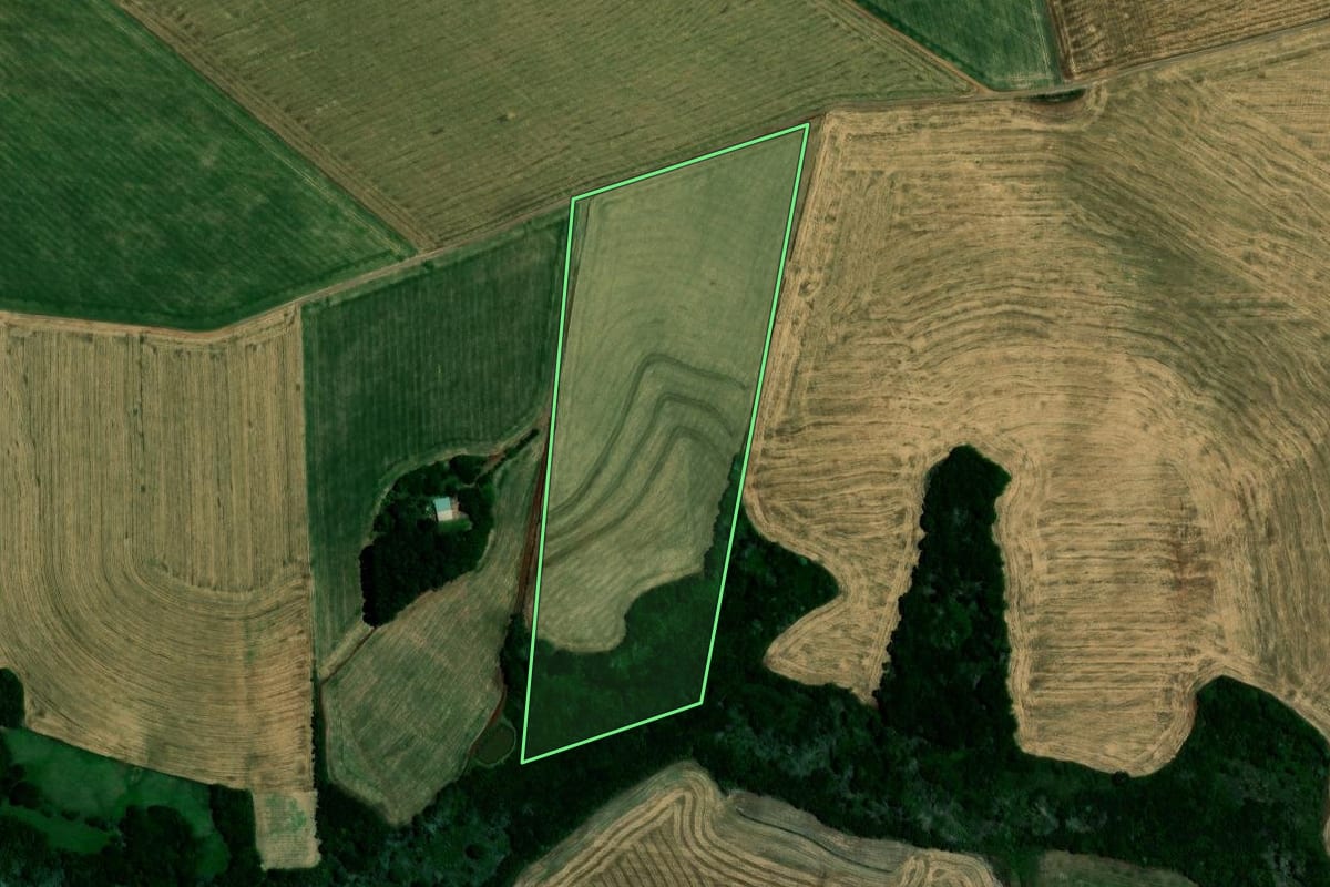 Imagem de satélite do imóvel rural em Carazinho (RS), com o contorno declarado no CAR desenhado por cima.
