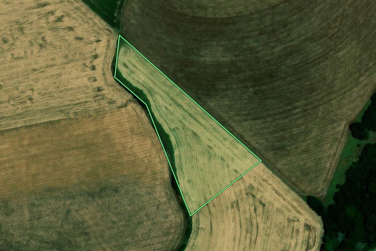 Imagem de satélite do imóvel rural em Carazinho (RS), com o contorno declarado no CAR desenhado por cima.