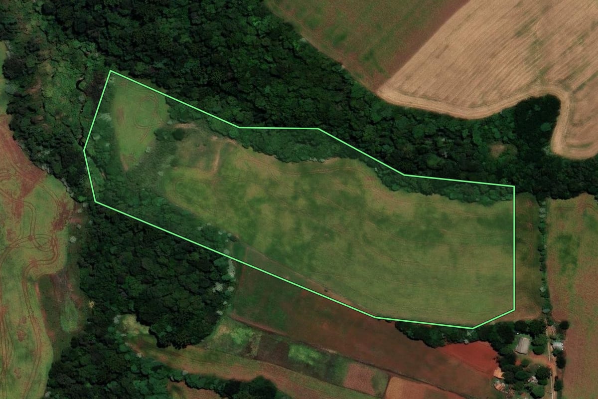 Imagem de satélite do imóvel rural em Carazinho (RS), com o contorno declarado no CAR desenhado por cima.
