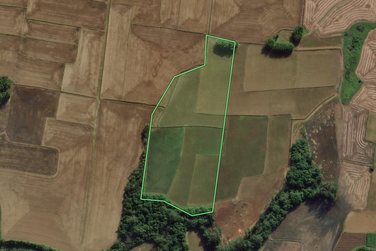 Imagem de satélite do imóvel rural em Caraá (RS), com o contorno declarado no CAR desenhado por cima.
