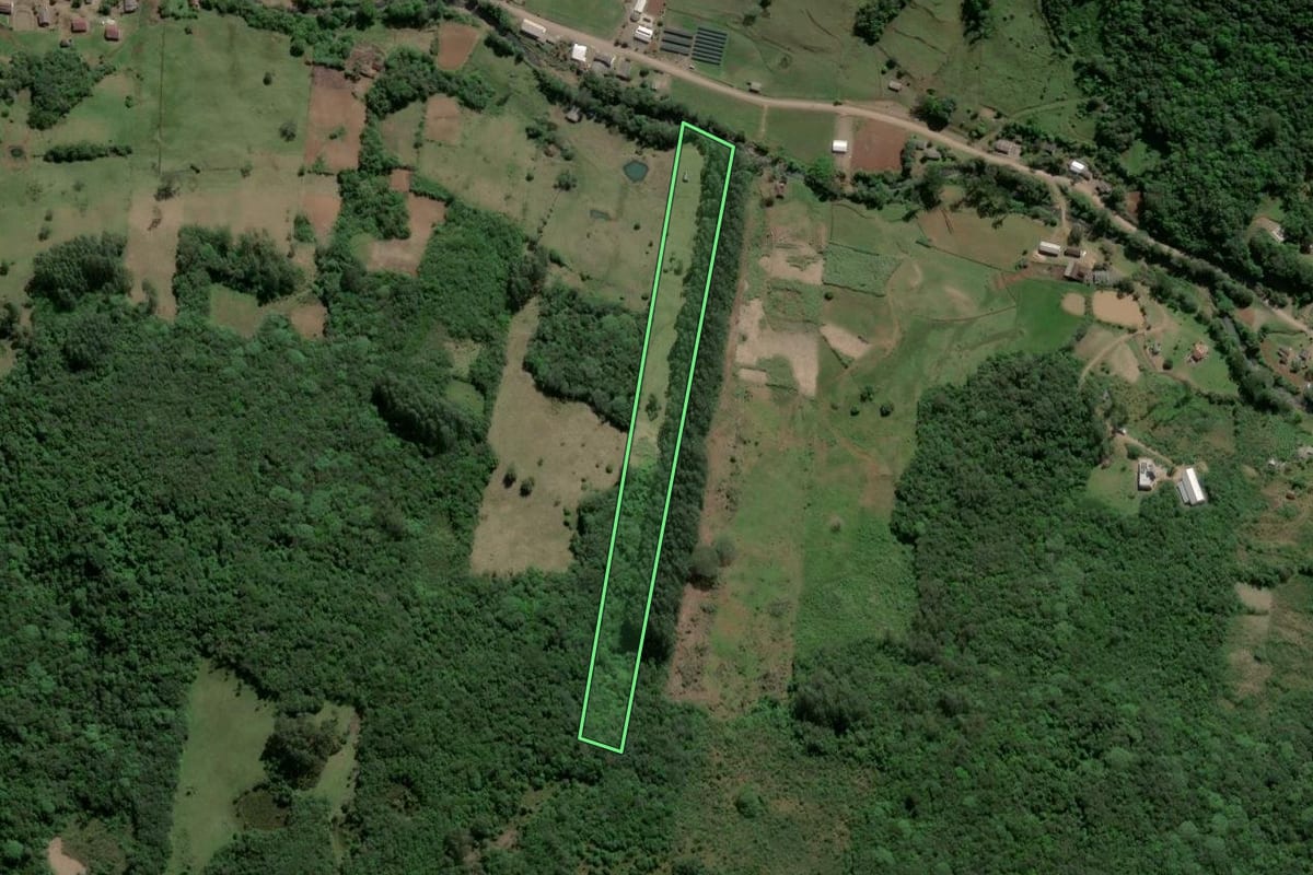 Imagem de satélite do imóvel rural em Caraá (RS), com o contorno declarado no CAR desenhado por cima.