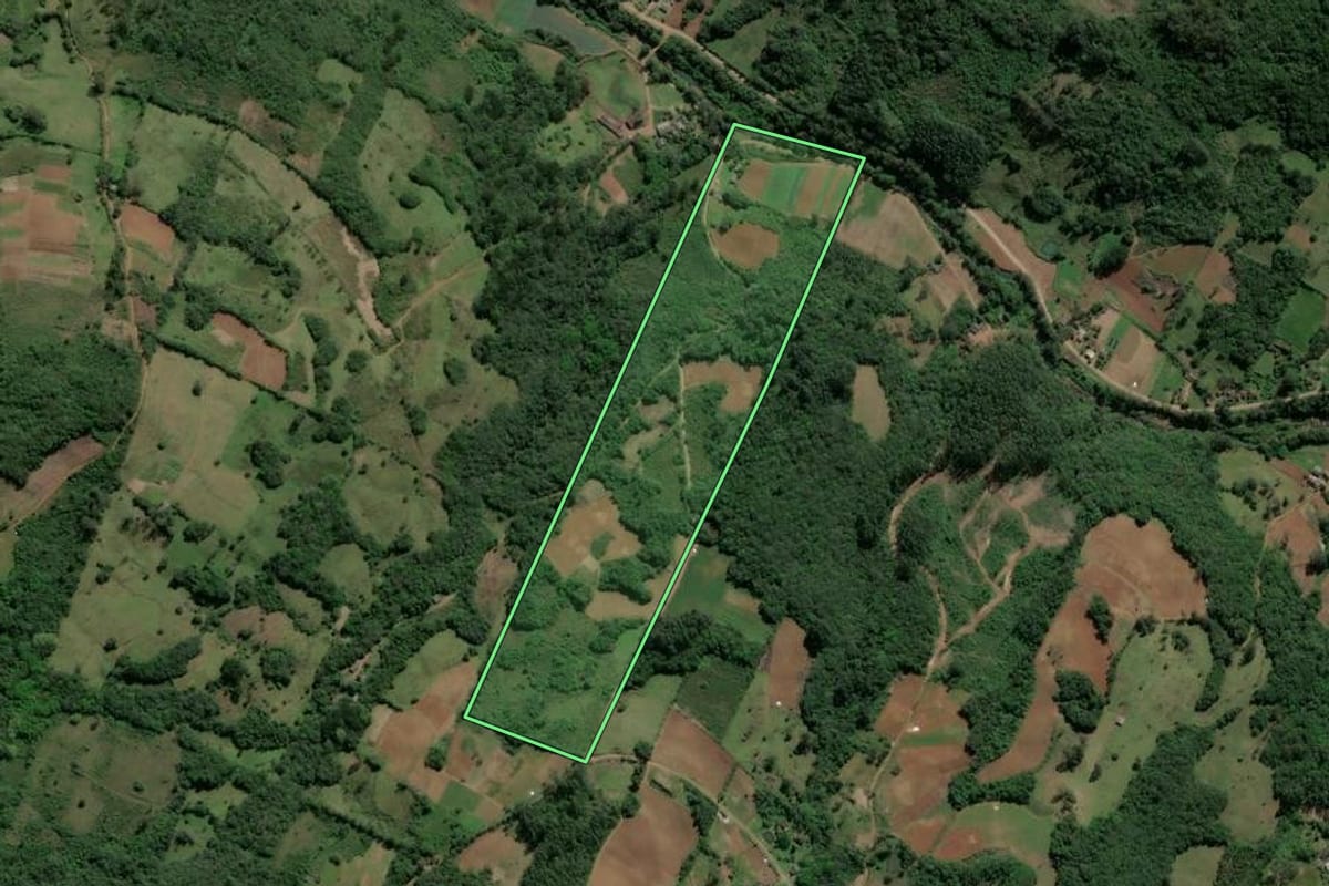 Imagem de satélite do imóvel rural em Caraá (RS), com o contorno declarado no CAR desenhado por cima.