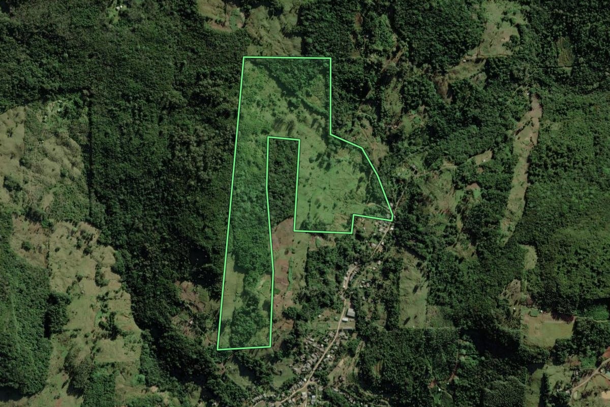 Imagem de satélite do imóvel rural em Caraá (RS), com o contorno declarado no CAR desenhado por cima.