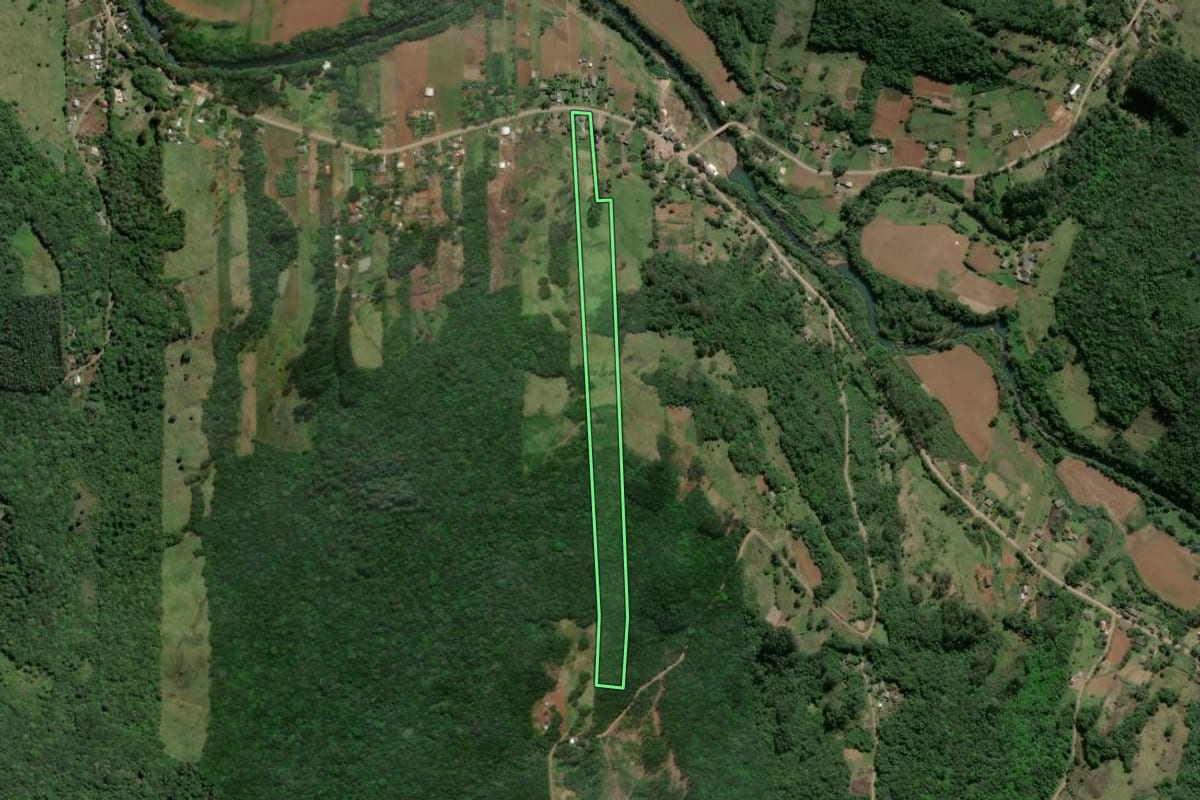 Imagem de satélite do imóvel rural em Caraá (RS), com o contorno declarado no CAR desenhado por cima.