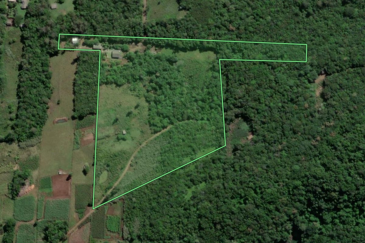 Imagem de satélite do imóvel rural em Caraá (RS), com o contorno declarado no CAR desenhado por cima.
