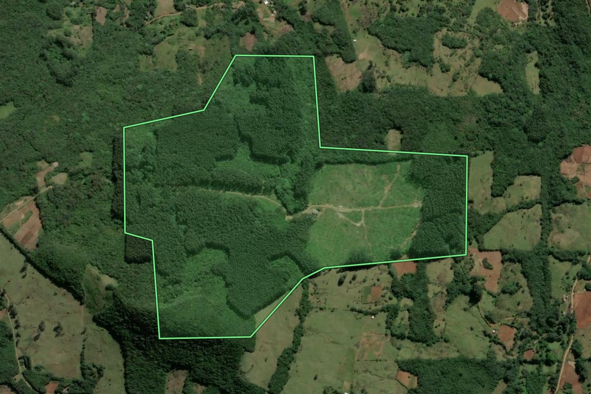 Imagem de satélite do imóvel rural em Caraá (RS), com o contorno declarado no CAR desenhado por cima.