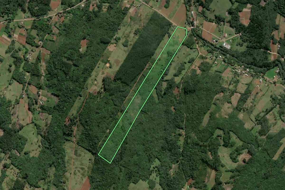 Imagem de satélite do imóvel rural em Caraá (RS), com o contorno declarado no CAR desenhado por cima.