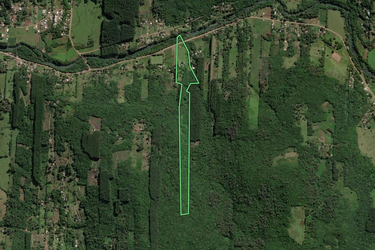 Imagem de satélite do imóvel rural em Caraá (RS), com o contorno declarado no CAR desenhado por cima.