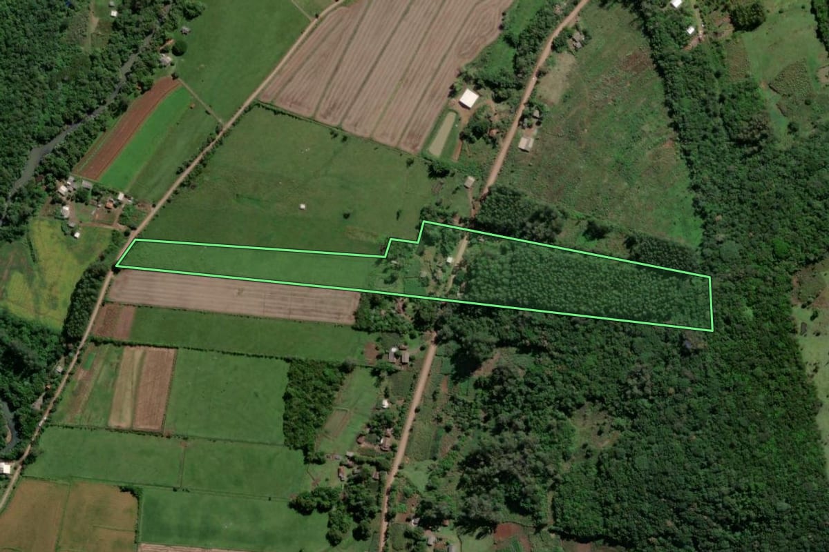 Imagem de satélite do imóvel rural em Caraá (RS), com o contorno declarado no CAR desenhado por cima.