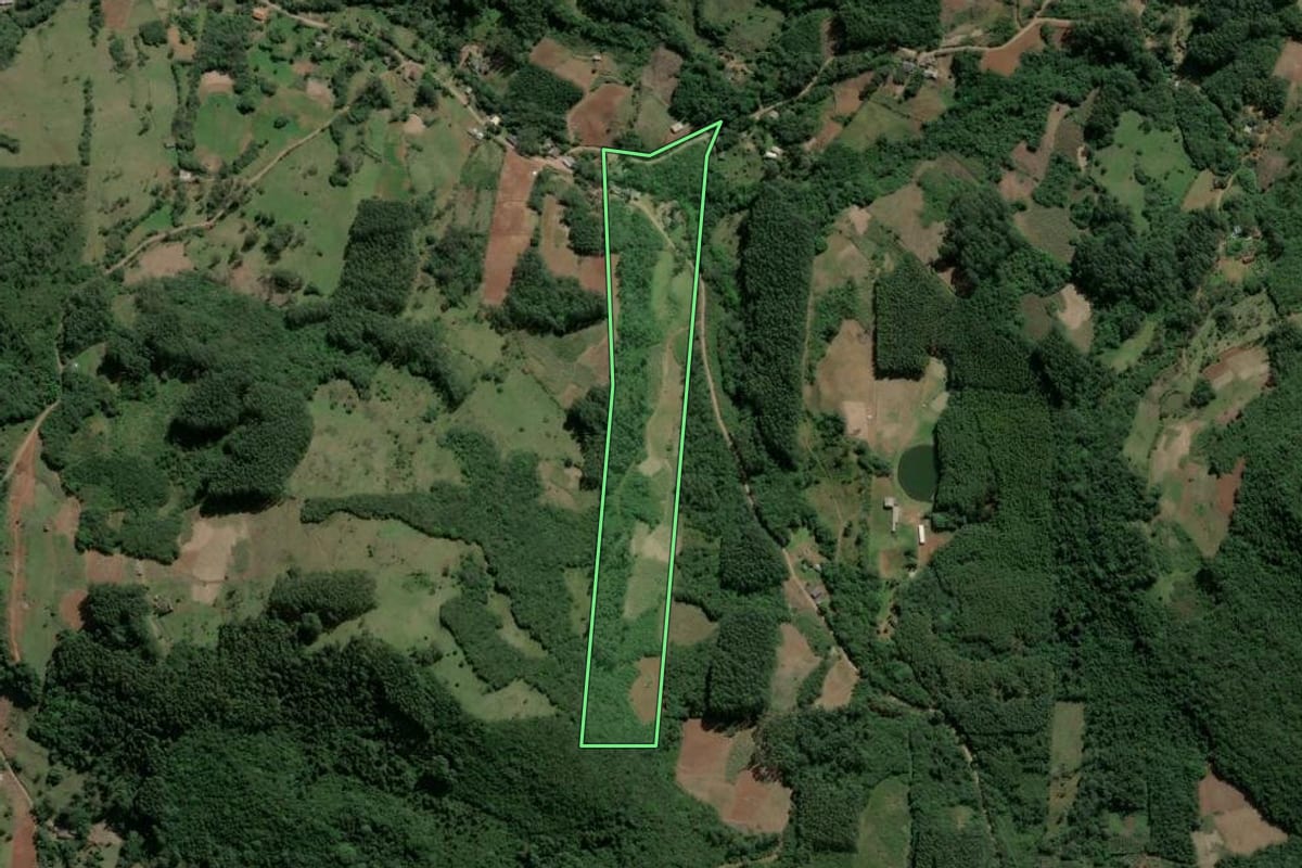 Imagem de satélite do imóvel rural em Caraá (RS), com o contorno declarado no CAR desenhado por cima.
