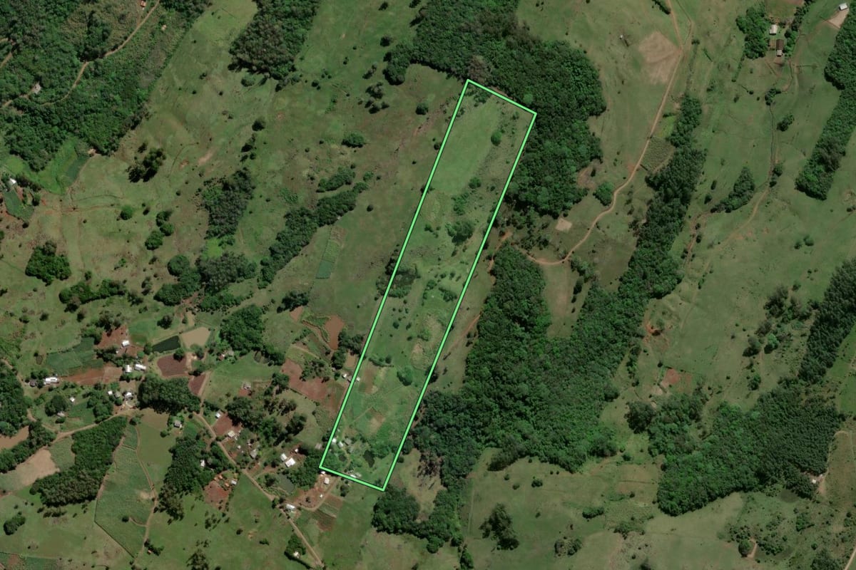 Imagem de satélite do imóvel rural em Caraá (RS), com o contorno declarado no CAR desenhado por cima.