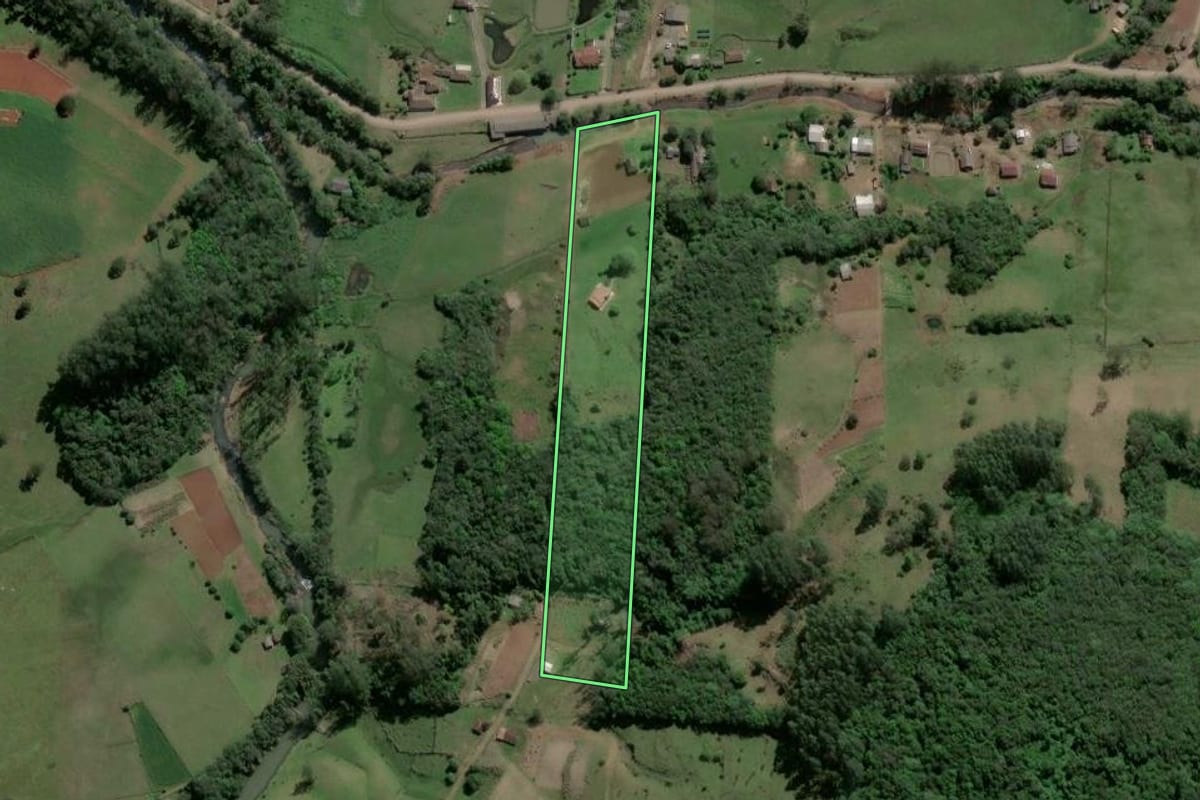 Imagem de satélite do imóvel rural em Caraá (RS), com o contorno declarado no CAR desenhado por cima.