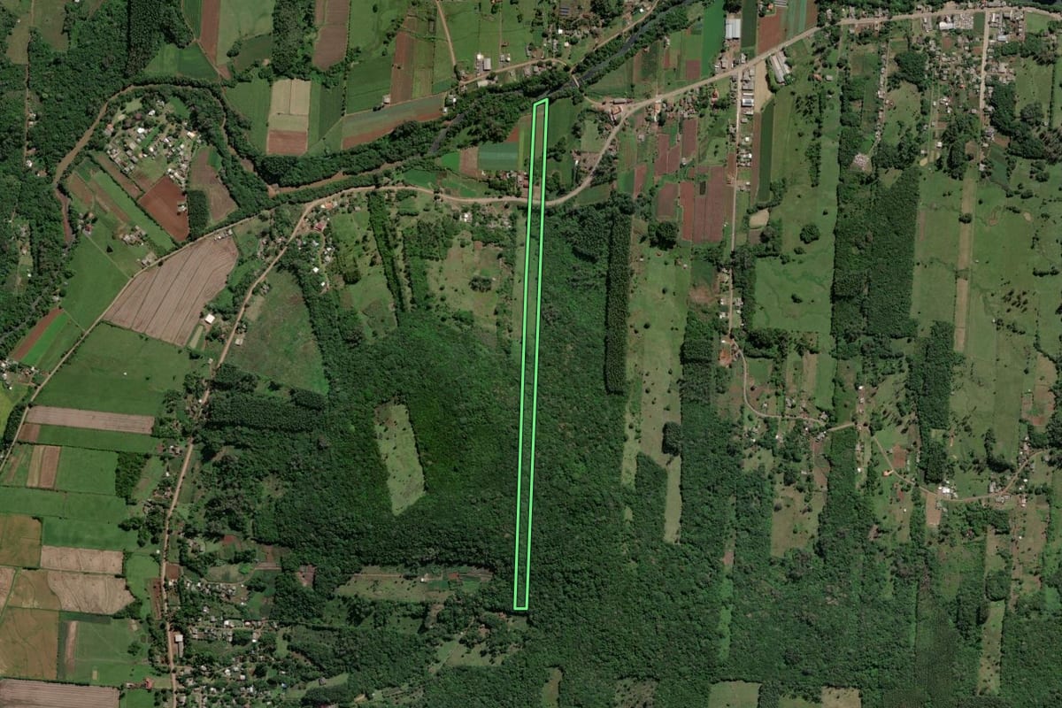 Imagem de satélite do imóvel rural em Caraá (RS), com o contorno declarado no CAR desenhado por cima.