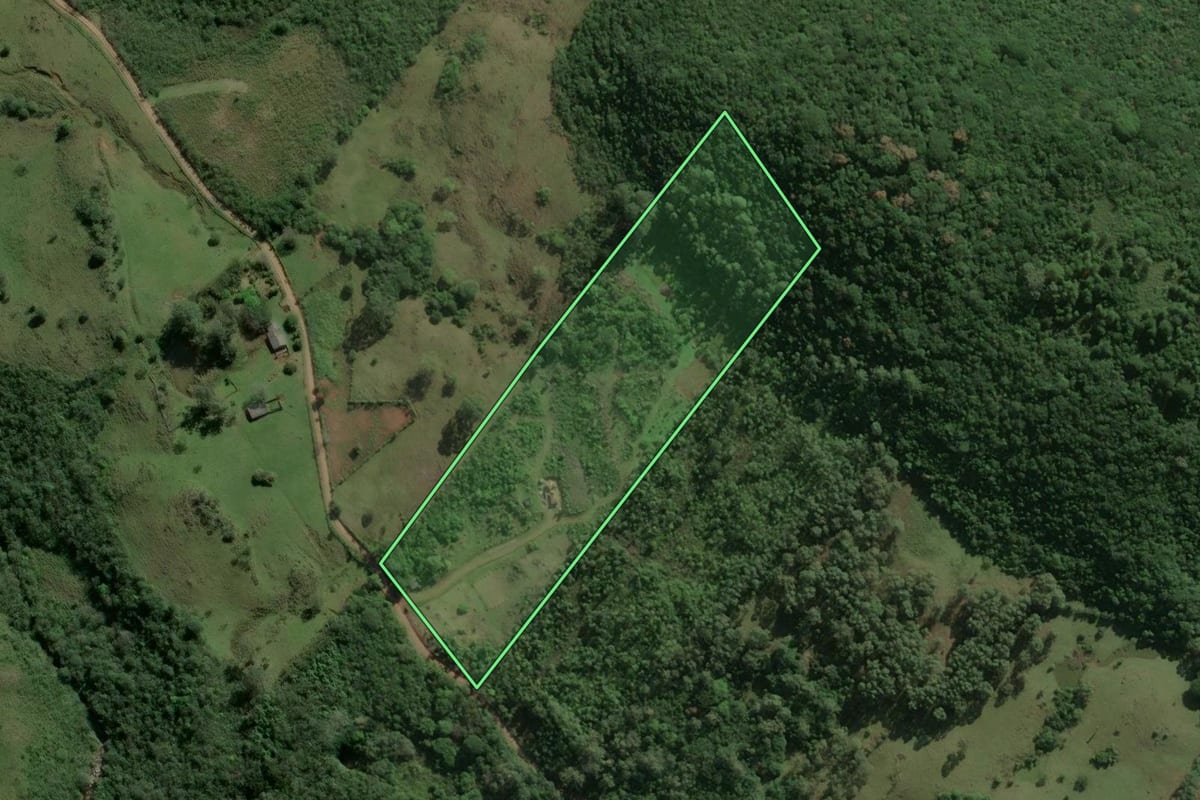 Imagem de satélite do imóvel rural em Caraá (RS), com o contorno declarado no CAR desenhado por cima.