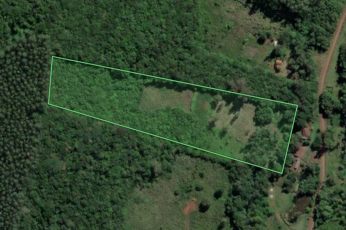 Imagem de satélite do imóvel rural em Caraá (RS), com o contorno declarado no CAR desenhado por cima.
