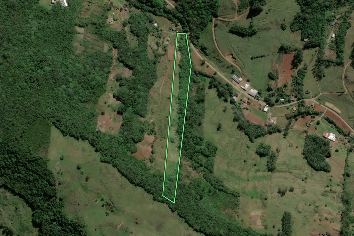 Imagem de satélite do imóvel rural em Caraá (RS), com o contorno declarado no CAR desenhado por cima.