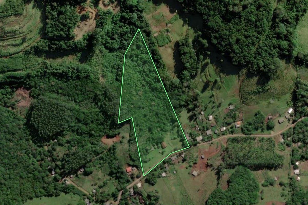 Imagem de satélite do imóvel rural em Caraá (RS), com o contorno declarado no CAR desenhado por cima.