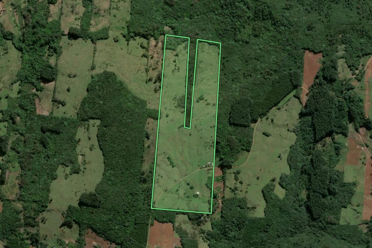 Imagem de satélite do imóvel rural em Caraá (RS), com o contorno declarado no CAR desenhado por cima.