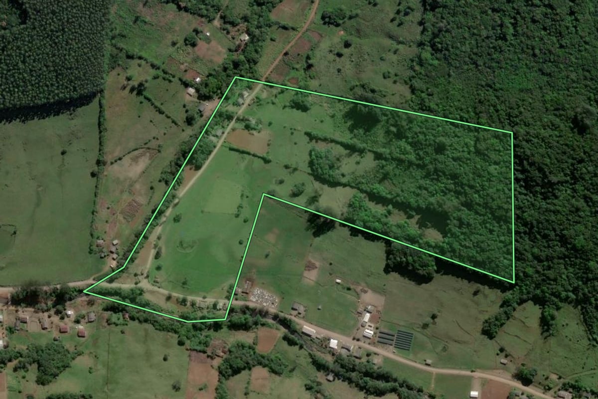 Imagem de satélite do imóvel rural em Caraá (RS), com o contorno declarado no CAR desenhado por cima.