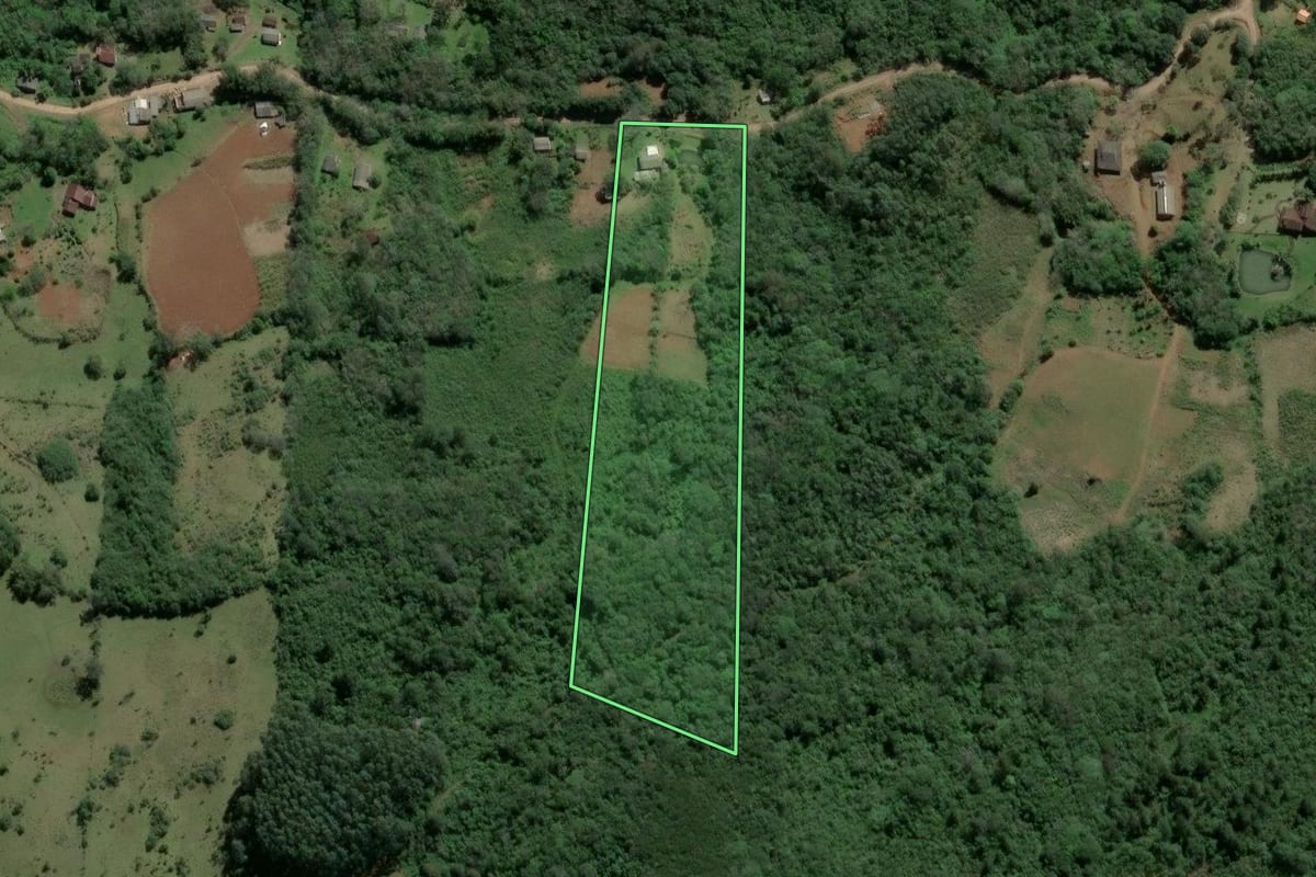Imagem de satélite do imóvel rural em Caraá (RS), com o contorno declarado no CAR desenhado por cima.