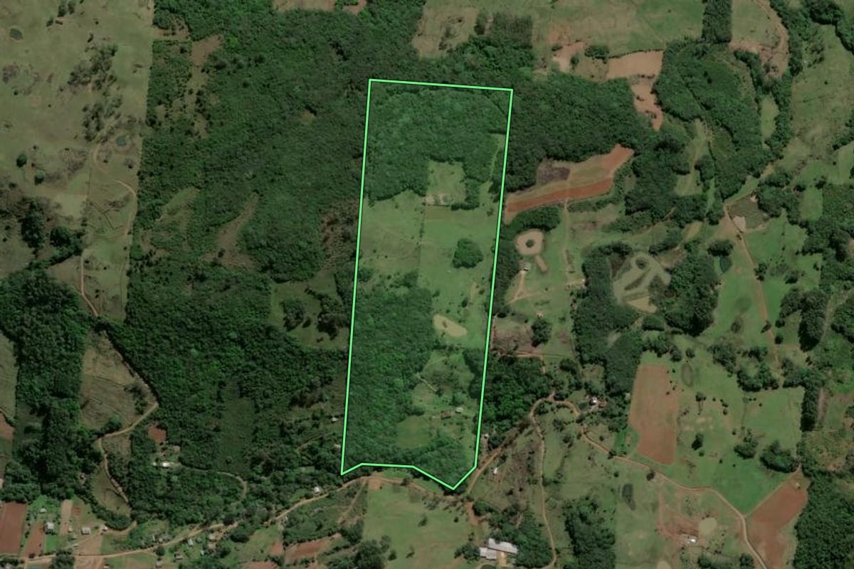 Imagem de satélite do imóvel rural em Caraá (RS), com o contorno declarado no CAR desenhado por cima.