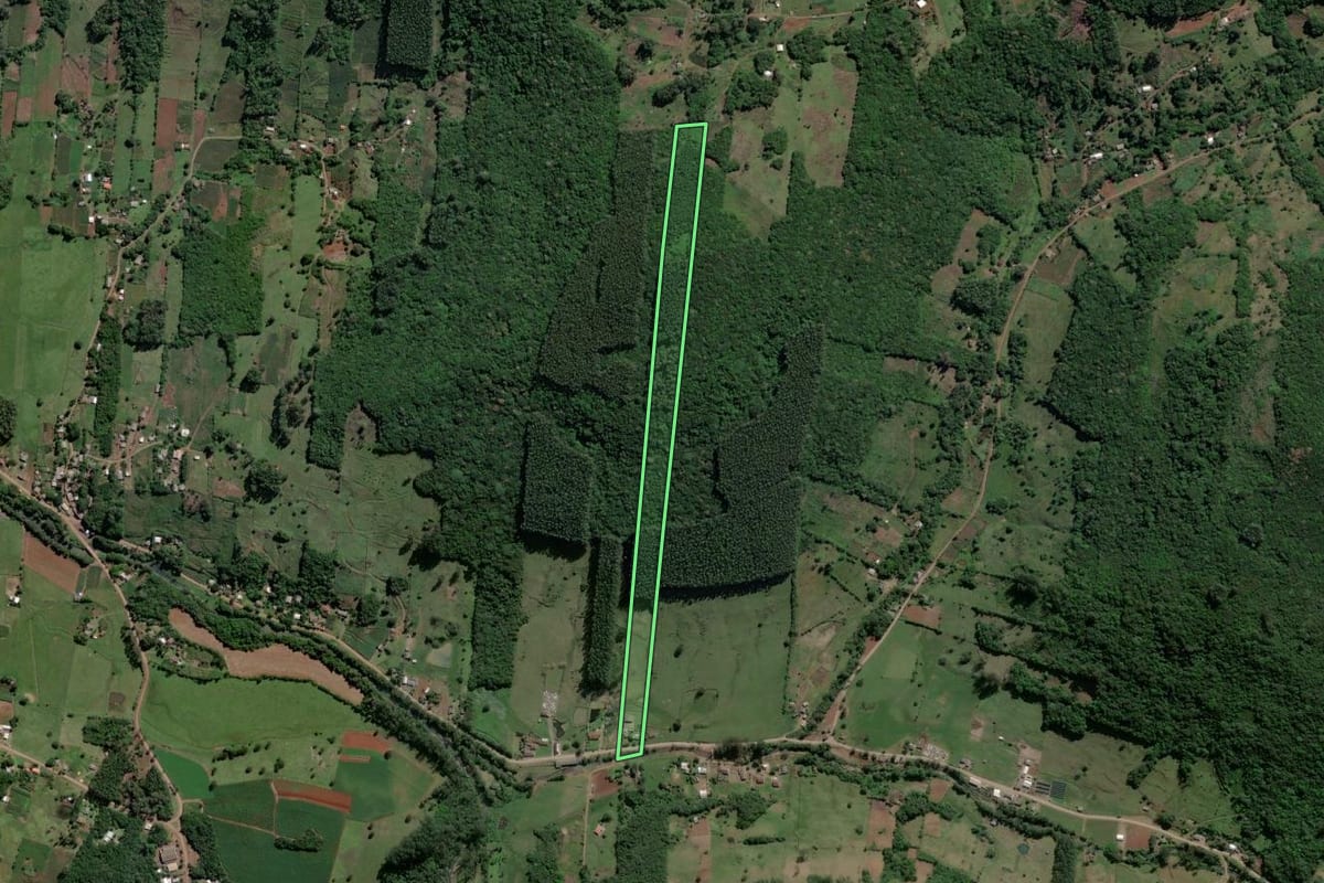 Imagem de satélite do imóvel rural em Caraá (RS), com o contorno declarado no CAR desenhado por cima.