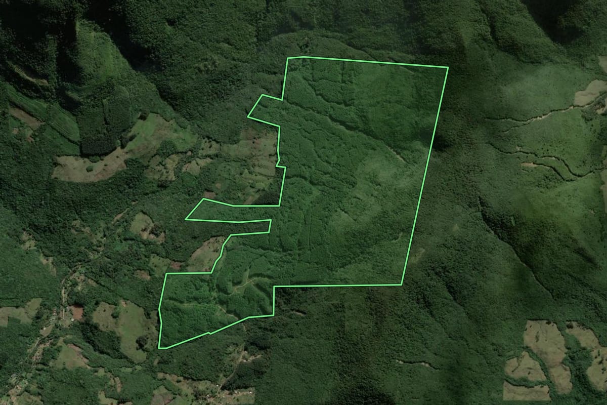 Imagem de satélite do imóvel rural em Caraá (RS), com o contorno declarado no CAR desenhado por cima.