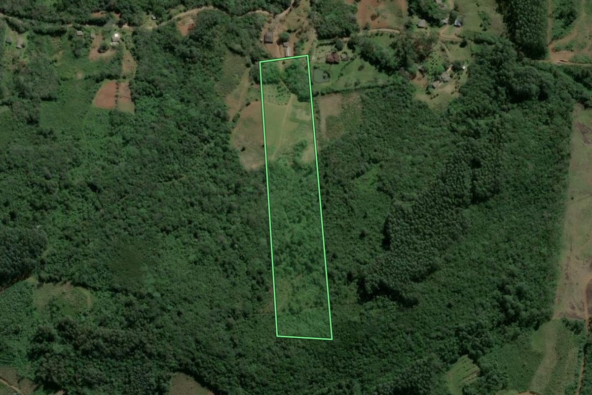 Imagem de satélite do imóvel rural em Caraá (RS), com o contorno declarado no CAR desenhado por cima.