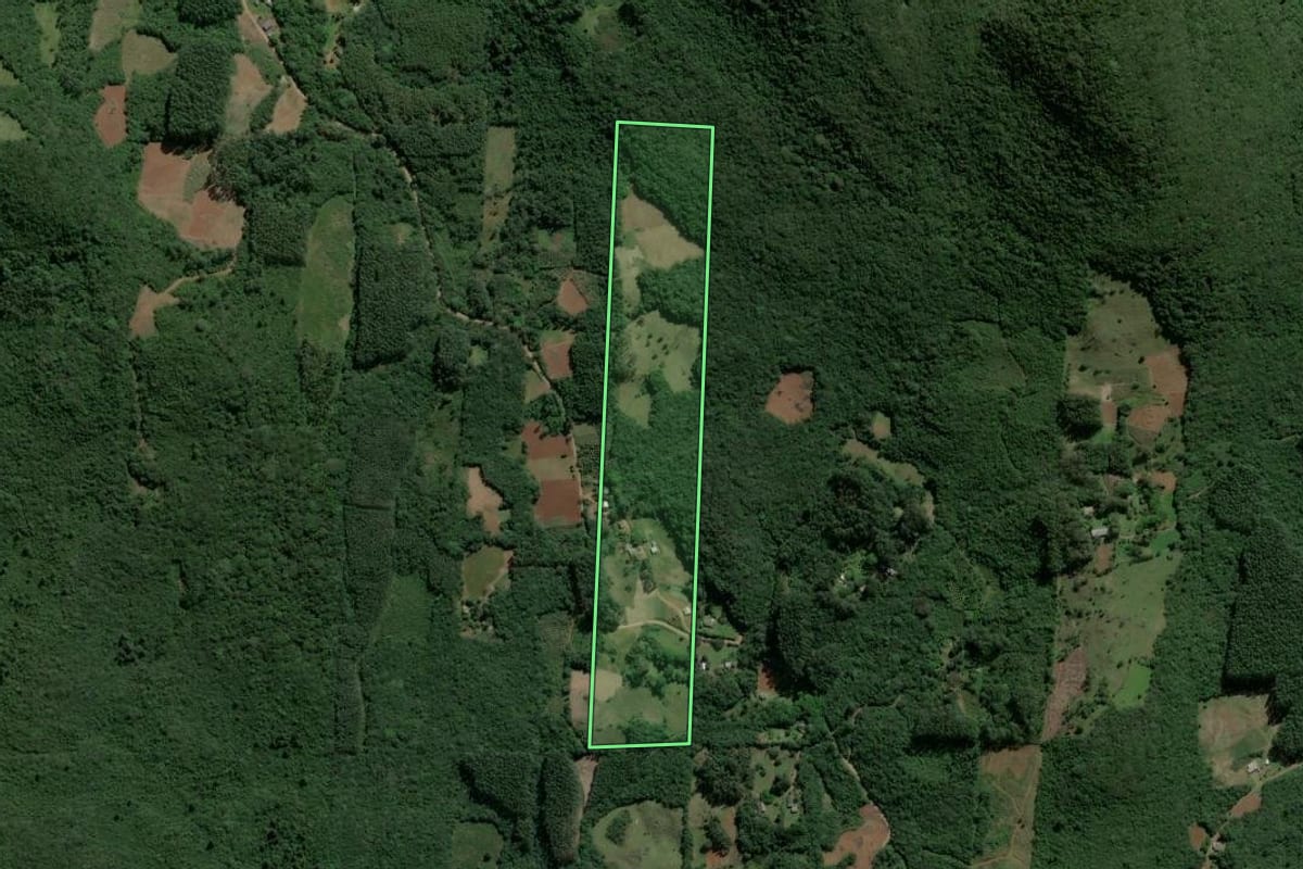 Imagem de satélite do imóvel rural em Caraá (RS), com o contorno declarado no CAR desenhado por cima.