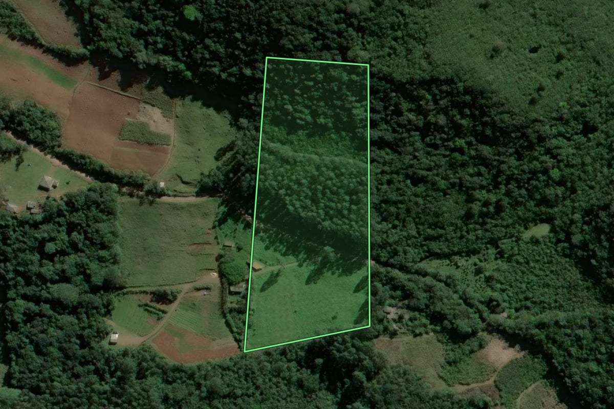Imagem de satélite do imóvel rural em Caraá (RS), com o contorno declarado no CAR desenhado por cima.