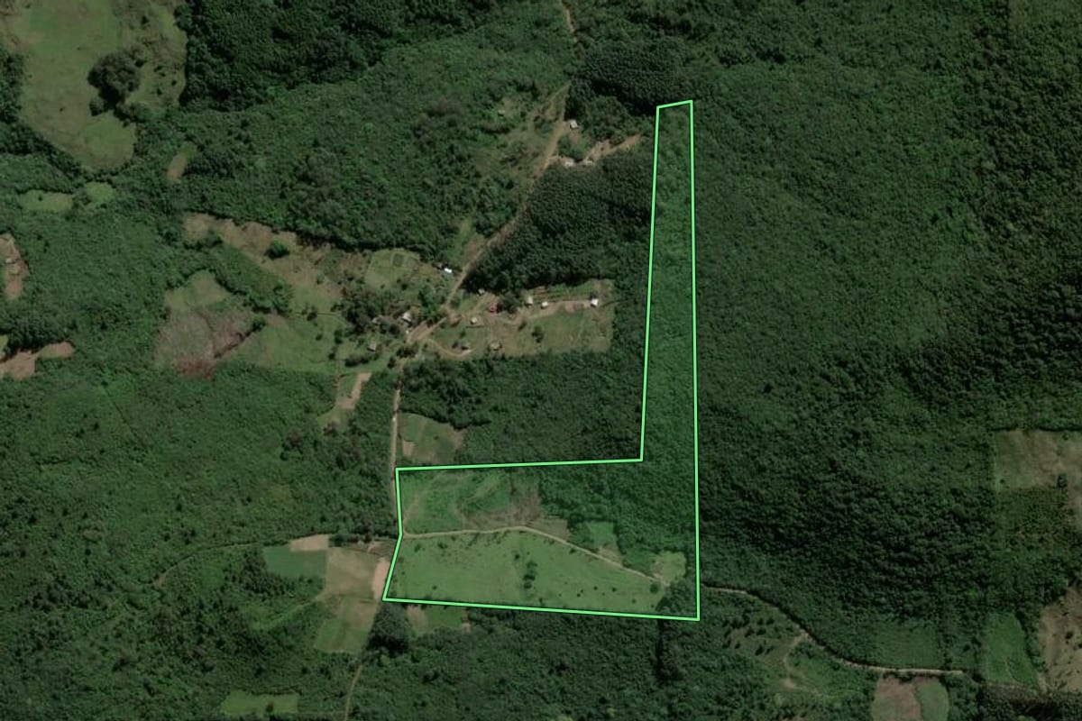Imagem de satélite do imóvel rural em Caraá (RS), com o contorno declarado no CAR desenhado por cima.