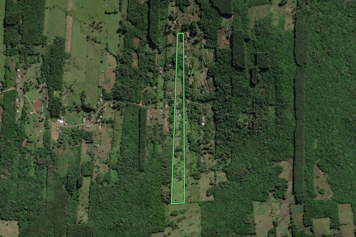 Imagem de satélite do imóvel rural em Caraá (RS), com o contorno declarado no CAR desenhado por cima.