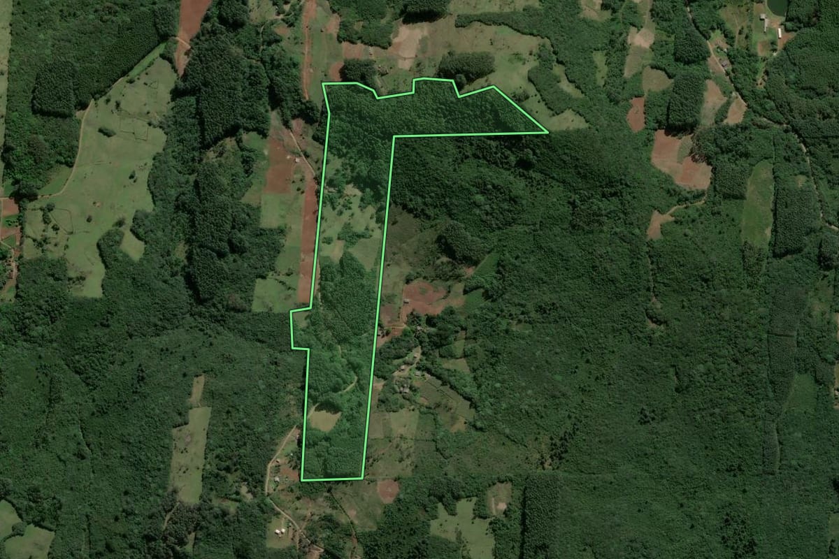 Imagem de satélite do imóvel rural em Caraá (RS), com o contorno declarado no CAR desenhado por cima.