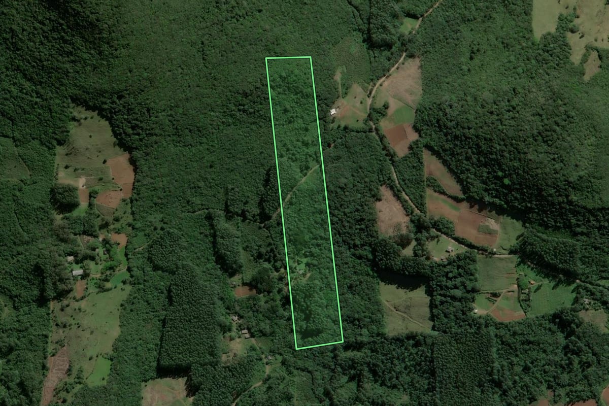 Imagem de satélite do imóvel rural em Caraá (RS), com o contorno declarado no CAR desenhado por cima.