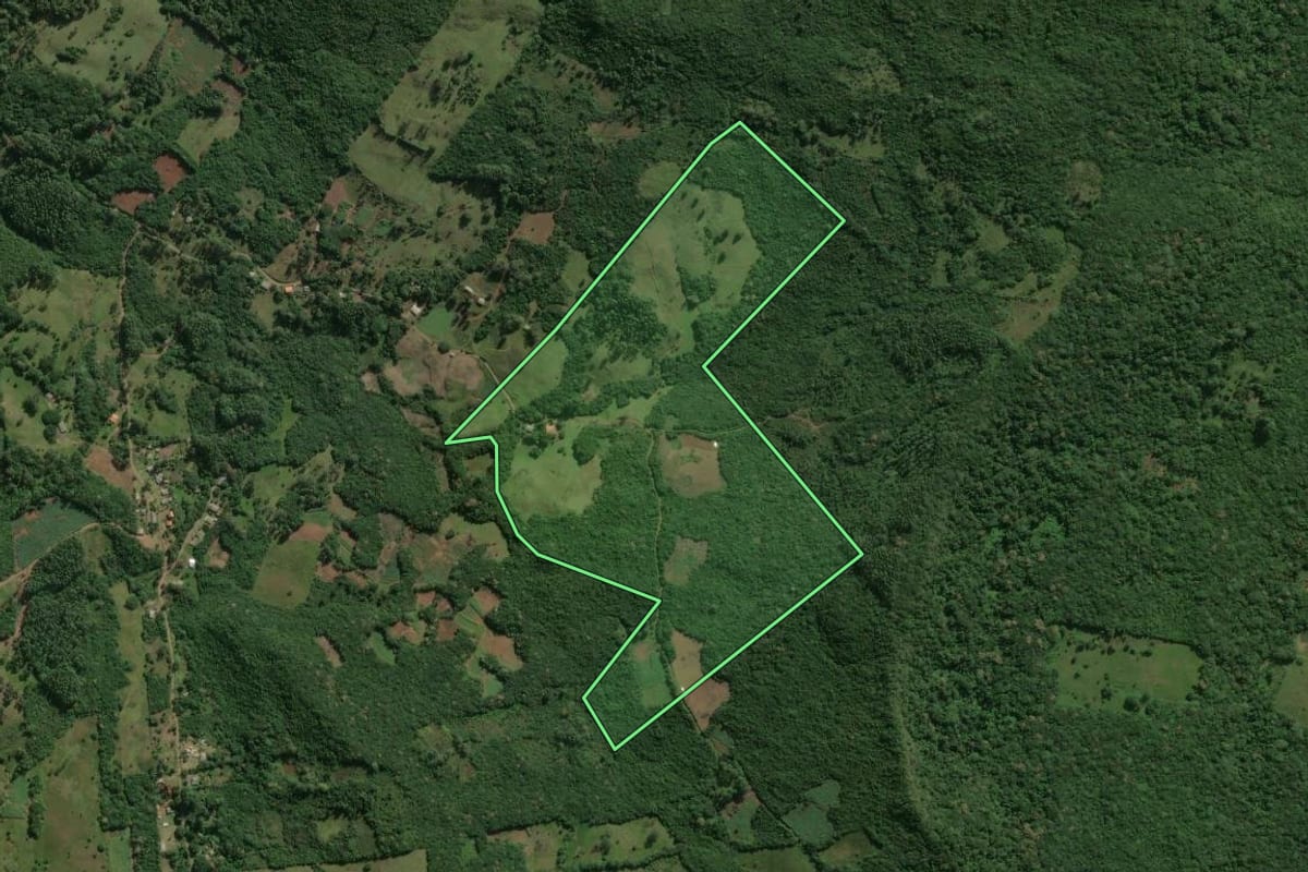 Imagem de satélite do imóvel rural em Caraá (RS), com o contorno declarado no CAR desenhado por cima.