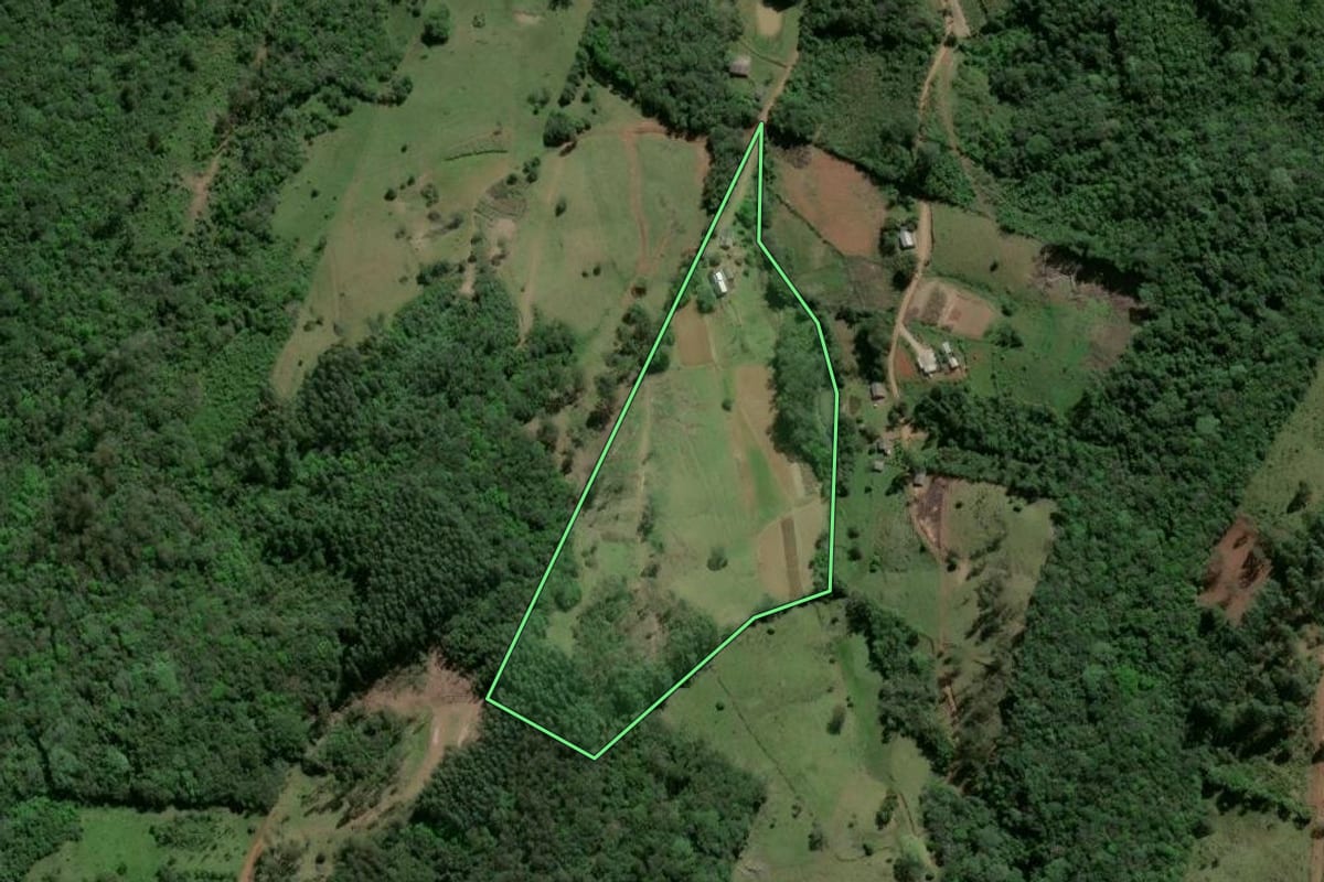 Imagem de satélite do imóvel rural em Caraá (RS), com o contorno declarado no CAR desenhado por cima.