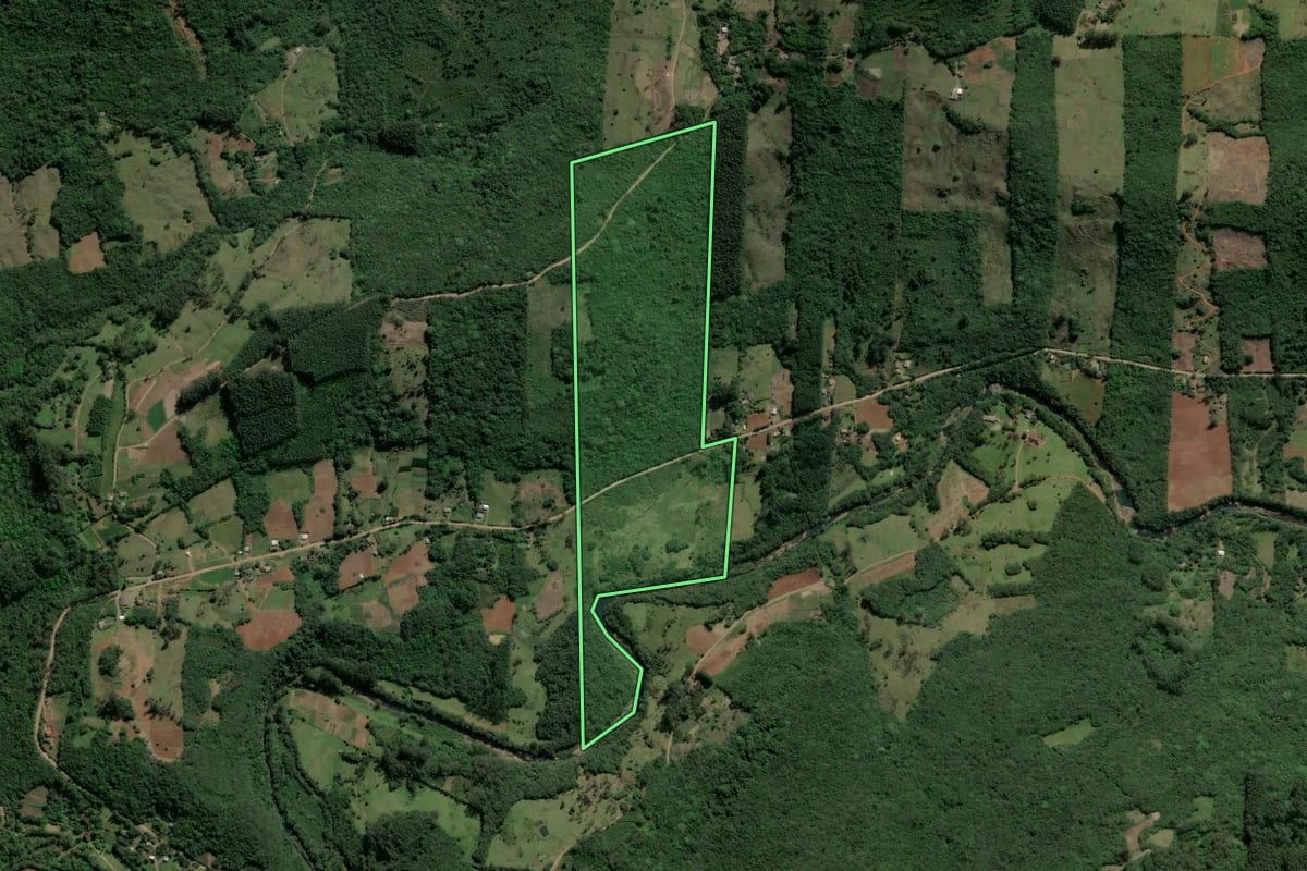 Imagem de satélite do imóvel rural em Caraá (RS), com o contorno declarado no CAR desenhado por cima.