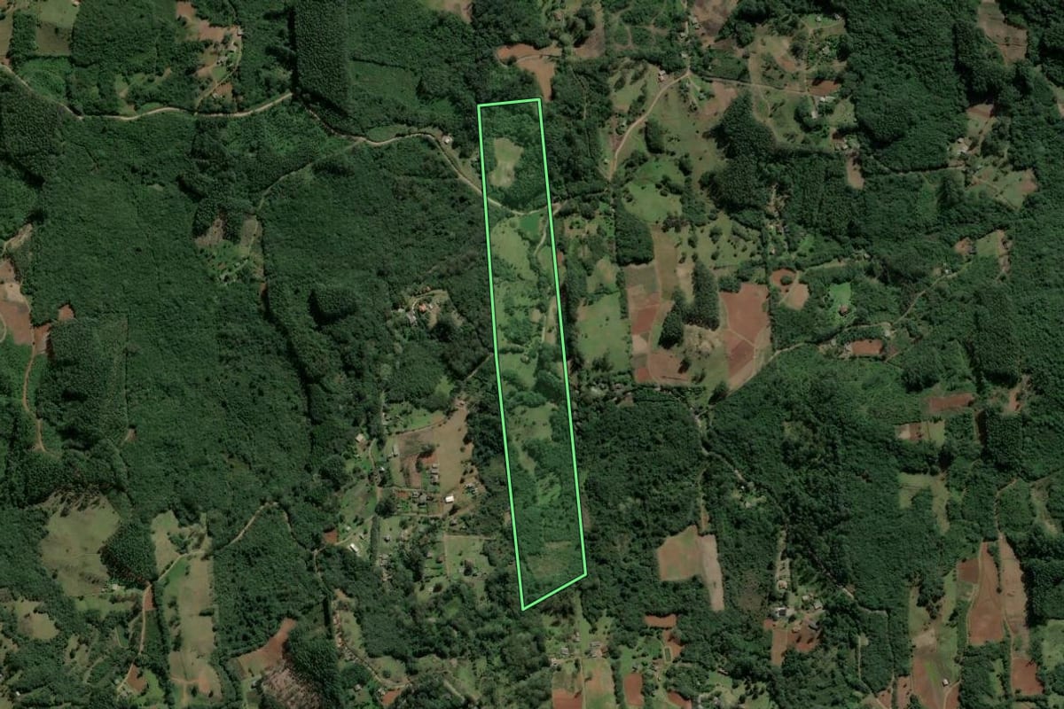 Imagem de satélite do imóvel rural em Caraá (RS), com o contorno declarado no CAR desenhado por cima.