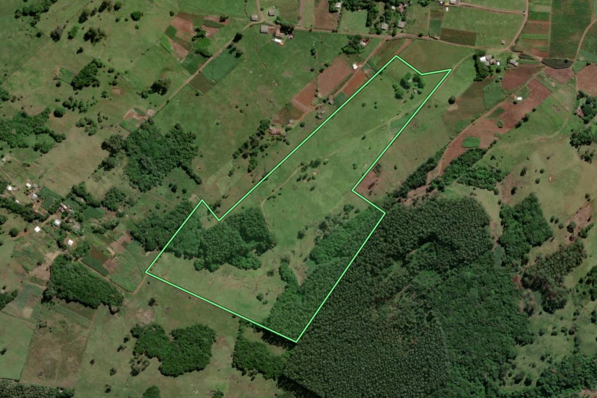 Imagem de satélite do imóvel rural em Caraá (RS), com o contorno declarado no CAR desenhado por cima.