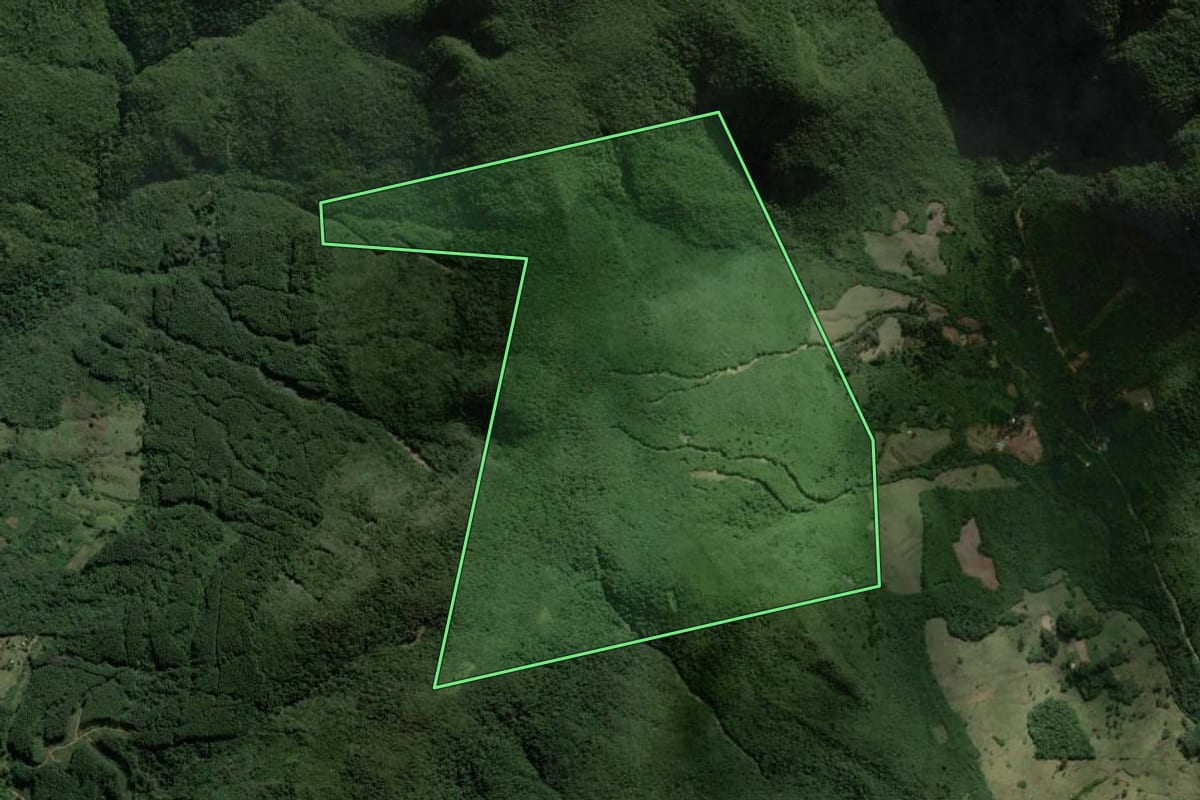 Imagem de satélite do imóvel rural em Caraá (RS), com o contorno declarado no CAR desenhado por cima.