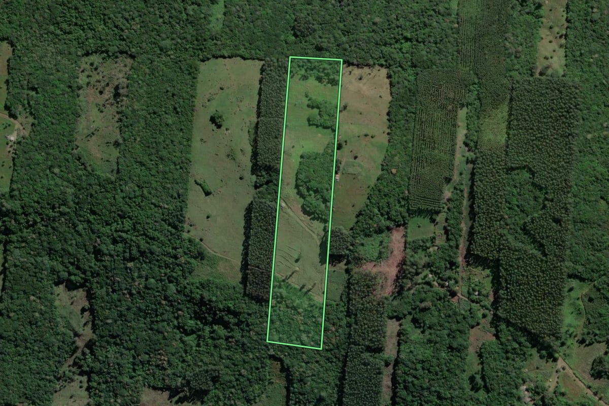 Imagem de satélite do imóvel rural em Caraá (RS), com o contorno declarado no CAR desenhado por cima.