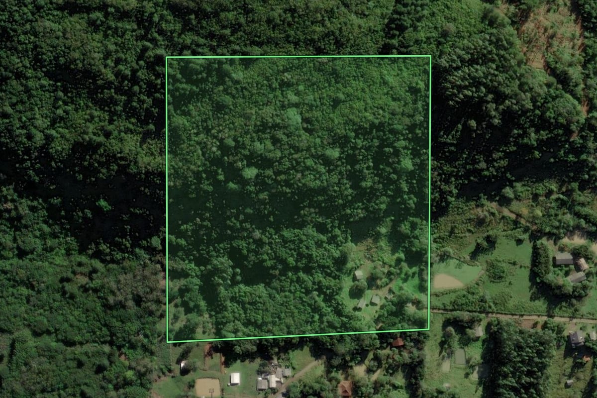 Imagem de satélite do imóvel rural em Caraá (RS), com o contorno declarado no CAR desenhado por cima.